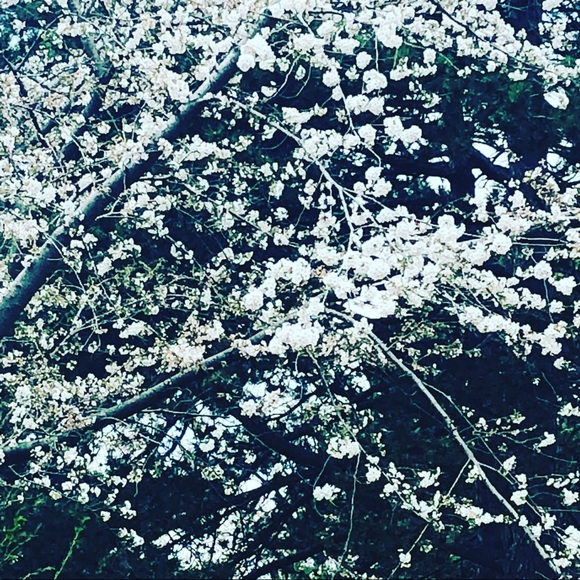 Meet your Posher, Lyn - Picture 1 of 1